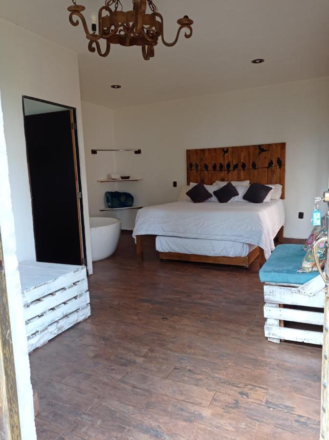 Hotel Cabanas Azul Tequilana Arandas エクステリア 写真
